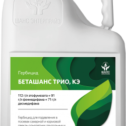 БЕТАШАНС ТРИО, КЭ