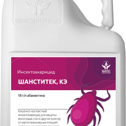 ШАНСИТЕК